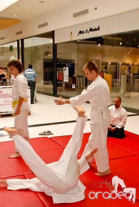 Lecţie de Aikido în Era Shopping Park, Era Shopping Park