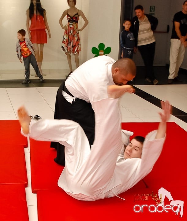 Lecţie de Aikido în Era Shopping Park, Era Shopping Park