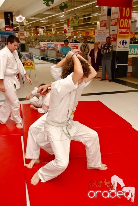 Lecţie de Aikido în Era Shopping Park, Era Shopping Park