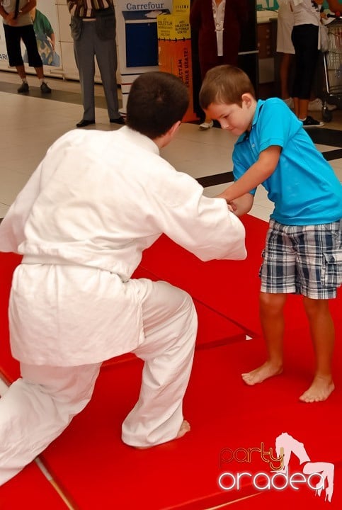 Lecţie de Aikido în Era Shopping Park, Era Shopping Park