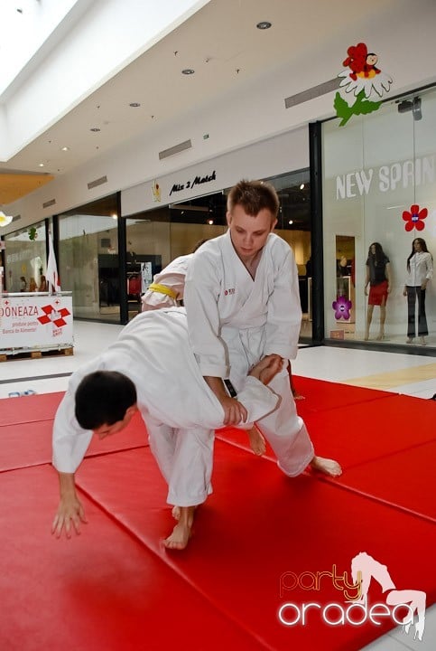 Lecţie de Aikido în Era Shopping Park, Era Shopping Park