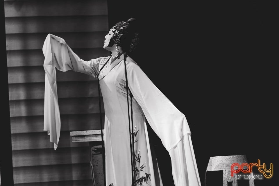 Li Yaxian - spectacol extraordinar, Teatrul Regina Maria