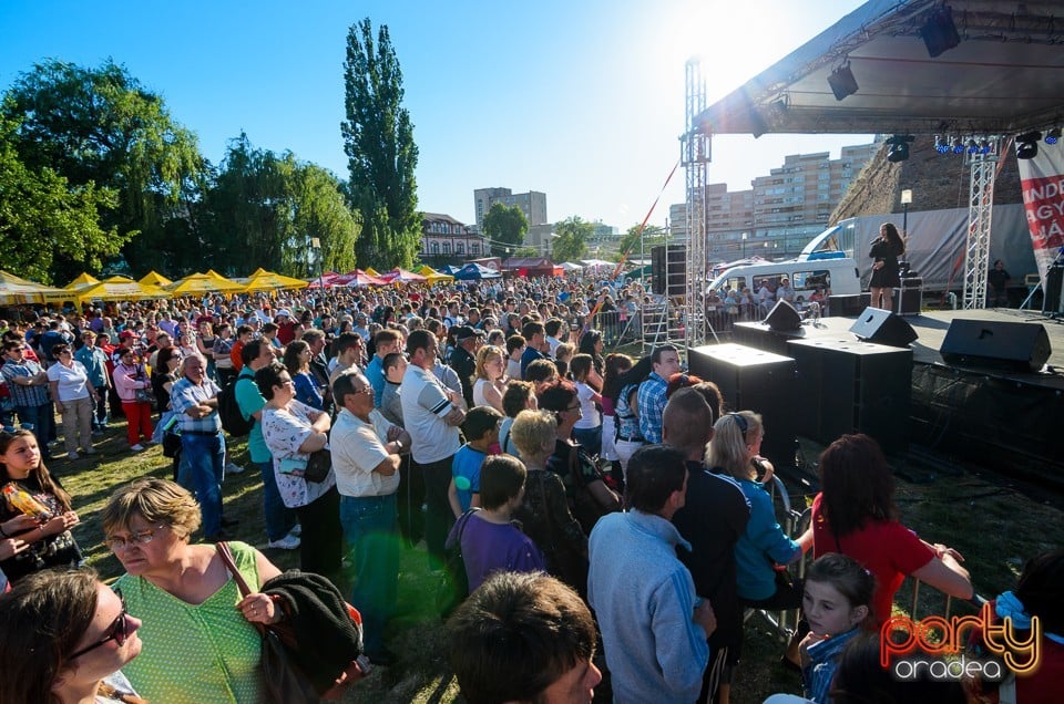 Majális 2014, Cetatea Oradea