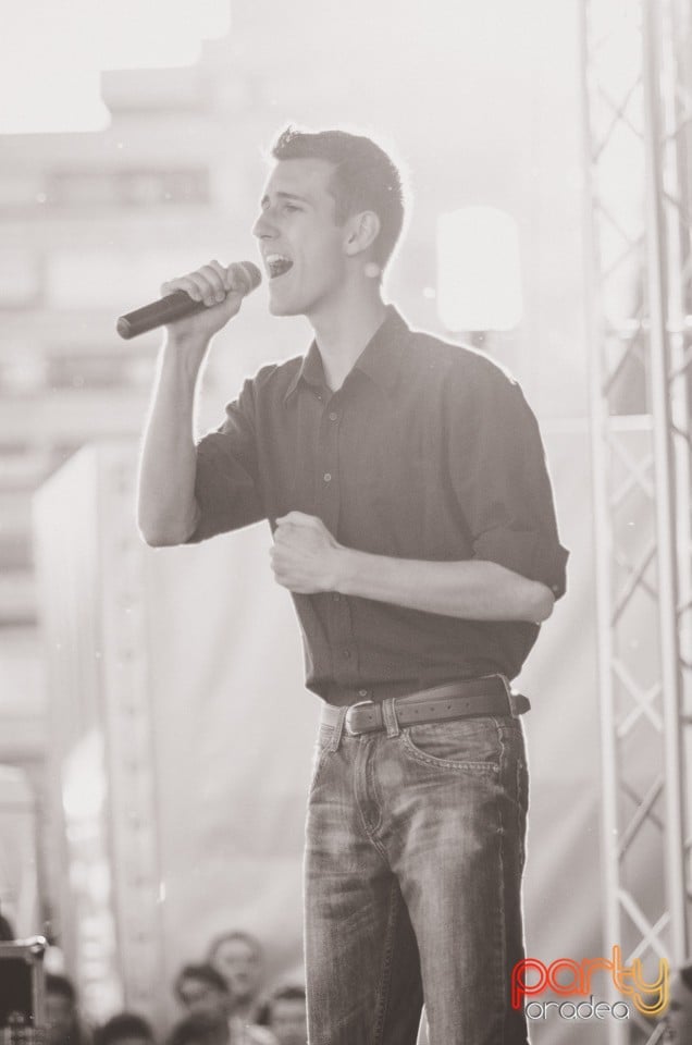 Majális 2014, Cetatea Oradea