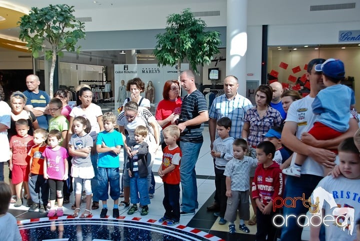 Maşini animate din