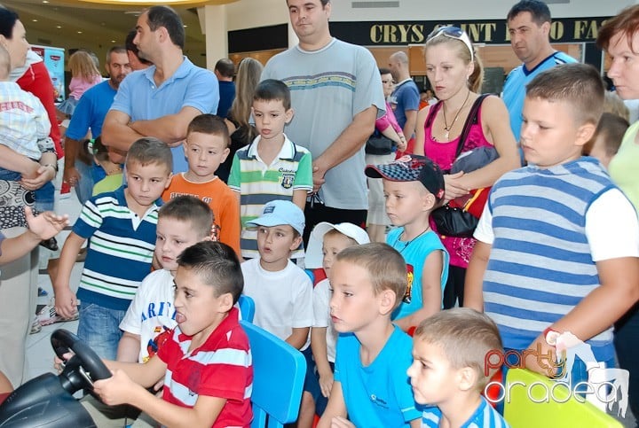 Maşini animate din