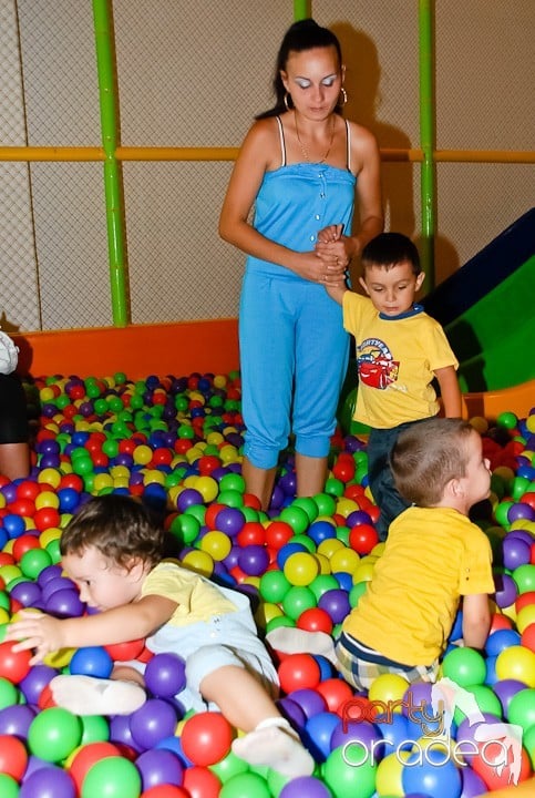 Maşini animate din