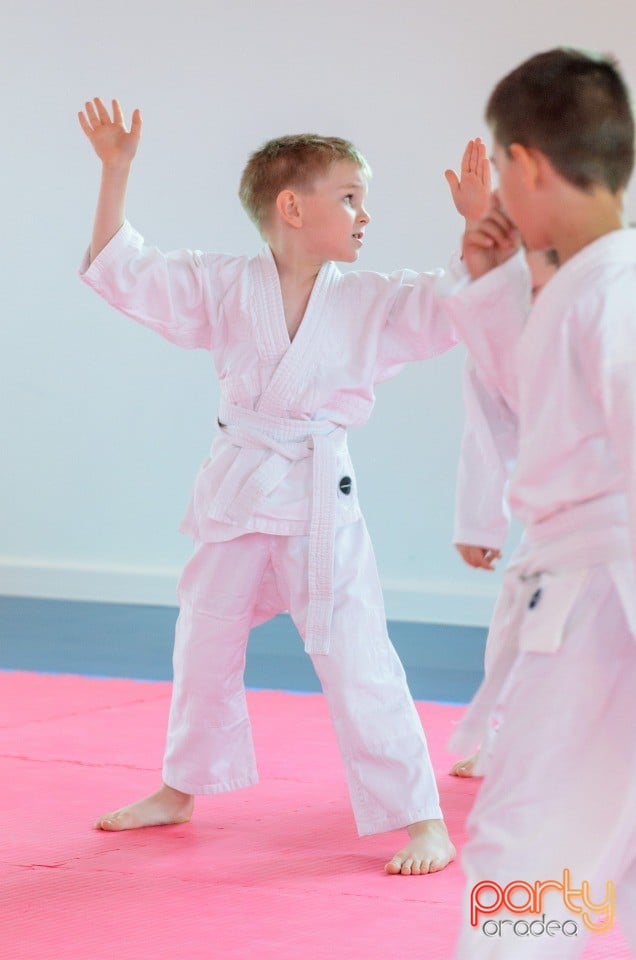 Micii judoka la Examen de Mon,