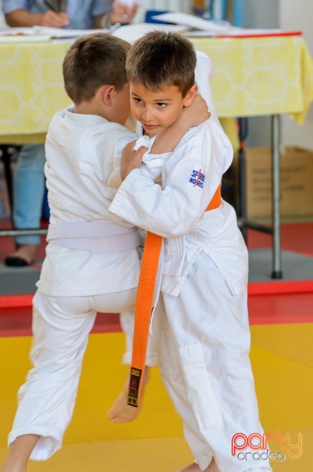 Micii judoka la Examen de Mon, Liceul cu Program Sportiv