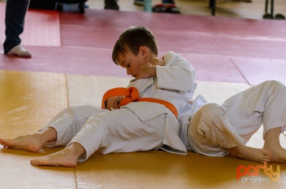 Micii judoka la Examen de Mon, Liceul cu Program Sportiv