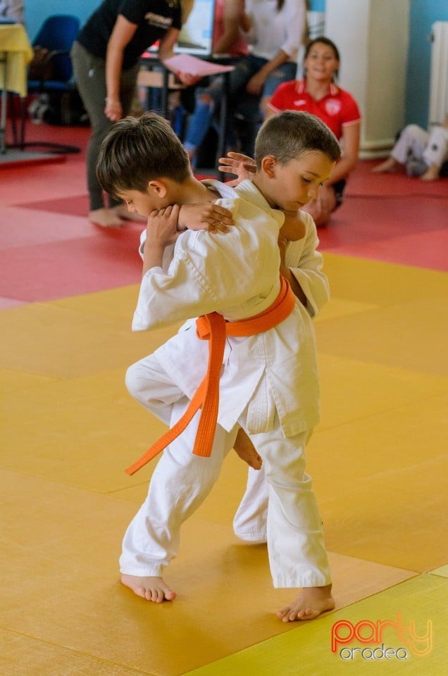 Micii judoka la Examen de Mon, Liceul cu Program Sportiv