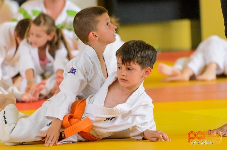 Micii judoka la Examen de Mon, Liceul cu Program Sportiv