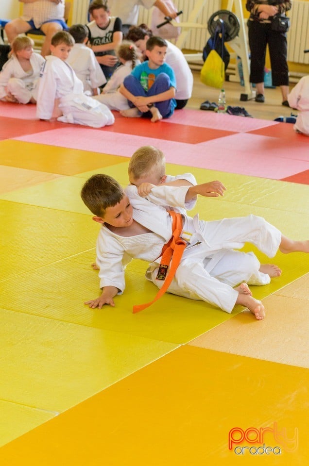 Micii judoka la Examen de Mon, Liceul cu Program Sportiv