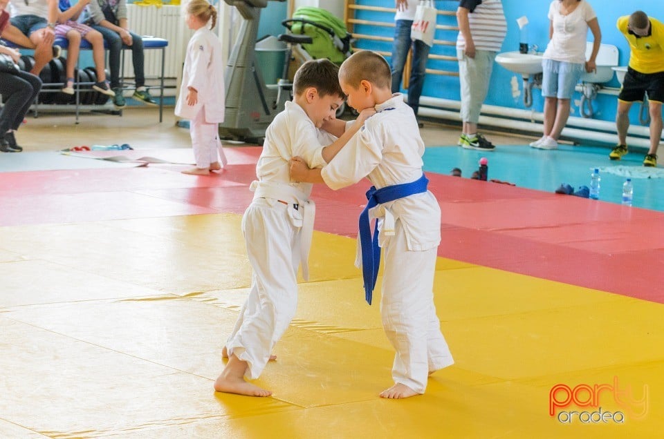 Micii judoka la Examen de Mon, Liceul cu Program Sportiv