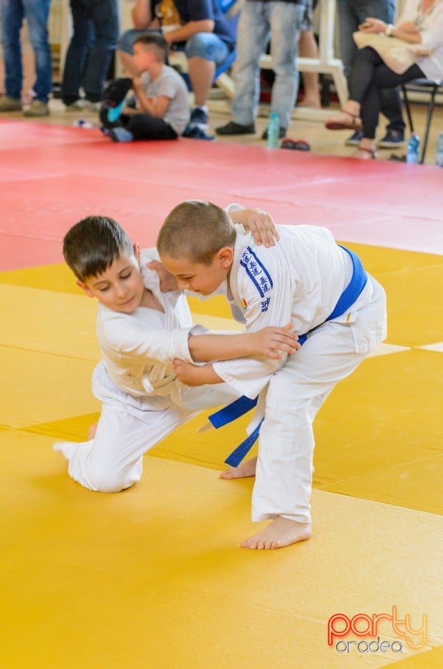 Micii judoka la Examen de Mon, Liceul cu Program Sportiv
