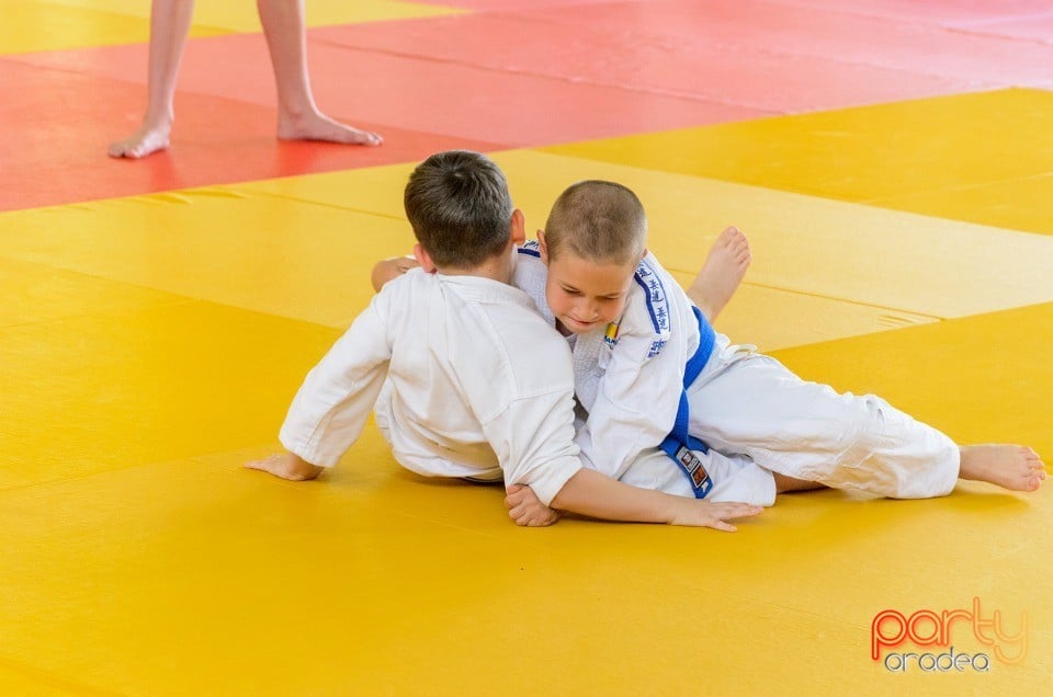 Micii judoka la Examen de Mon, Liceul cu Program Sportiv