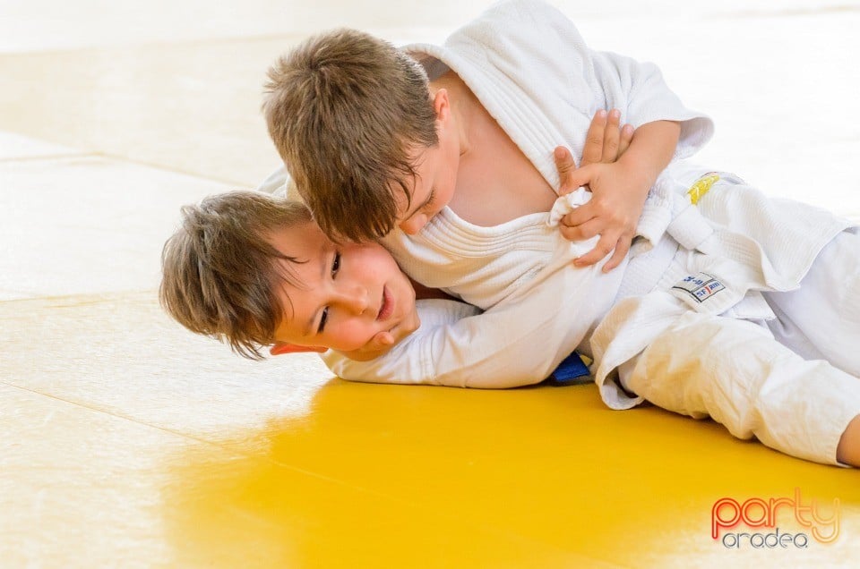 Micii judoka la Examen de Mon, Liceul cu Program Sportiv
