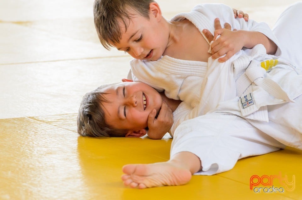 Micii judoka la Examen de Mon, Liceul cu Program Sportiv