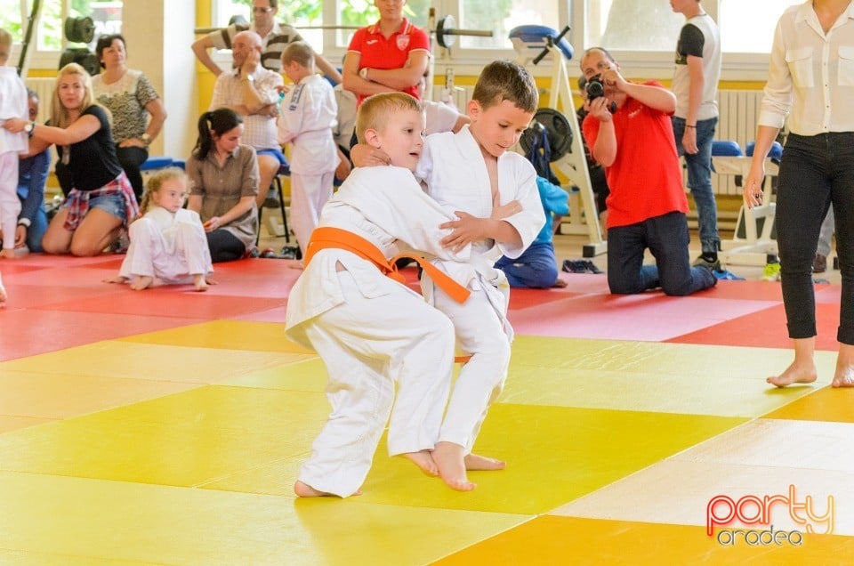 Micii judoka la Examen de Mon, Liceul cu Program Sportiv