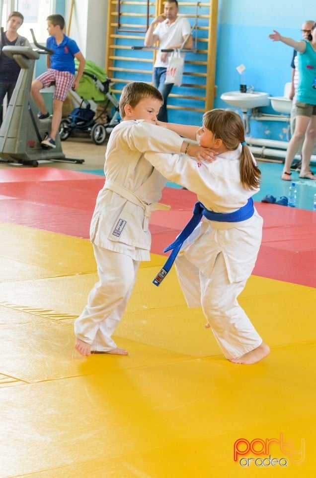 Micii judoka la Examen de Mon, Liceul cu Program Sportiv