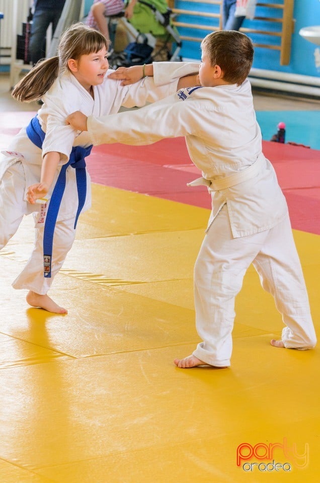 Micii judoka la Examen de Mon, Liceul cu Program Sportiv
