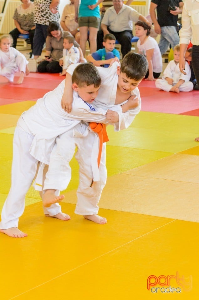 Micii judoka la Examen de Mon, Liceul cu Program Sportiv