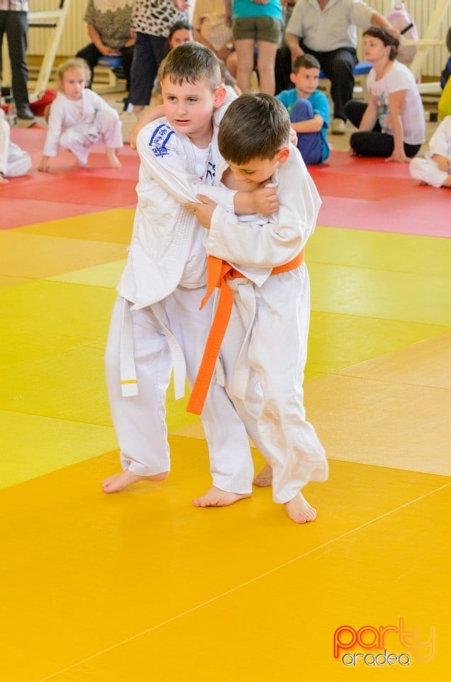 Micii judoka la Examen de Mon, Liceul cu Program Sportiv