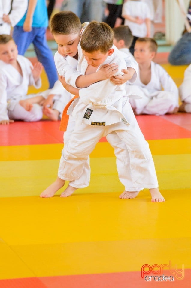 Micii judoka la Examen de Mon, Liceul cu Program Sportiv