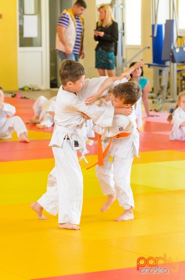 Micii judoka la Examen de Mon, Liceul cu Program Sportiv