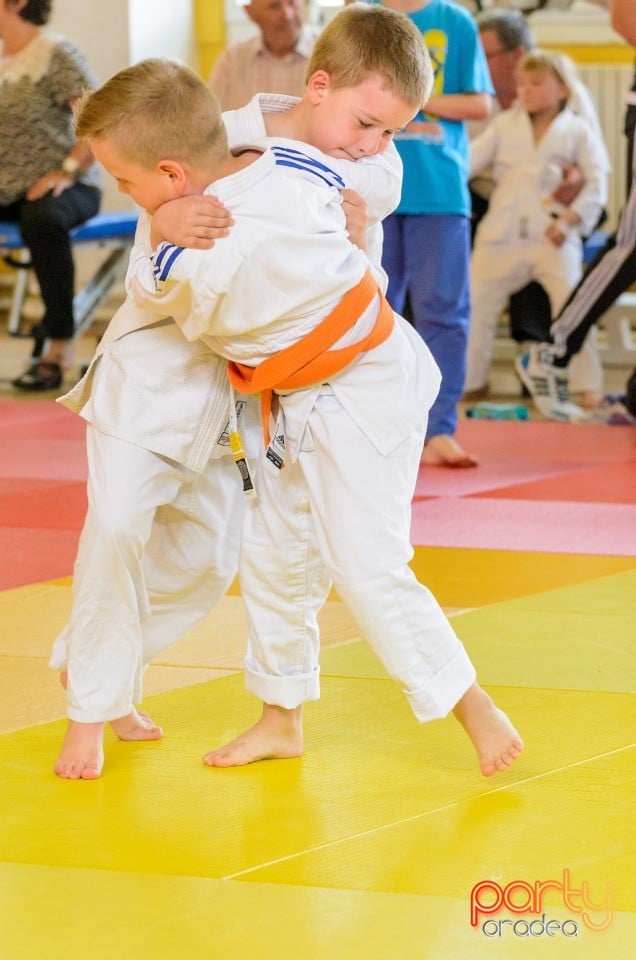 Micii judoka la Examen de Mon, Liceul cu Program Sportiv