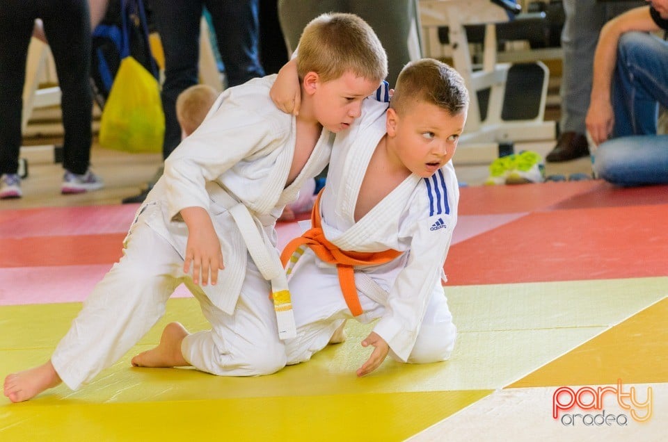 Micii judoka la Examen de Mon, Liceul cu Program Sportiv