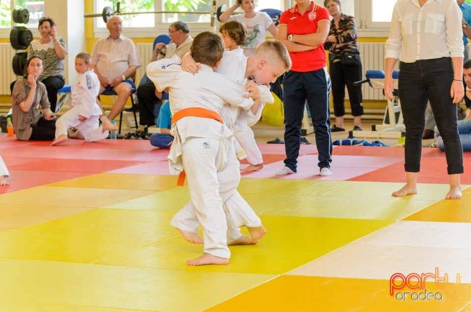 Micii judoka la Examen de Mon, Liceul cu Program Sportiv