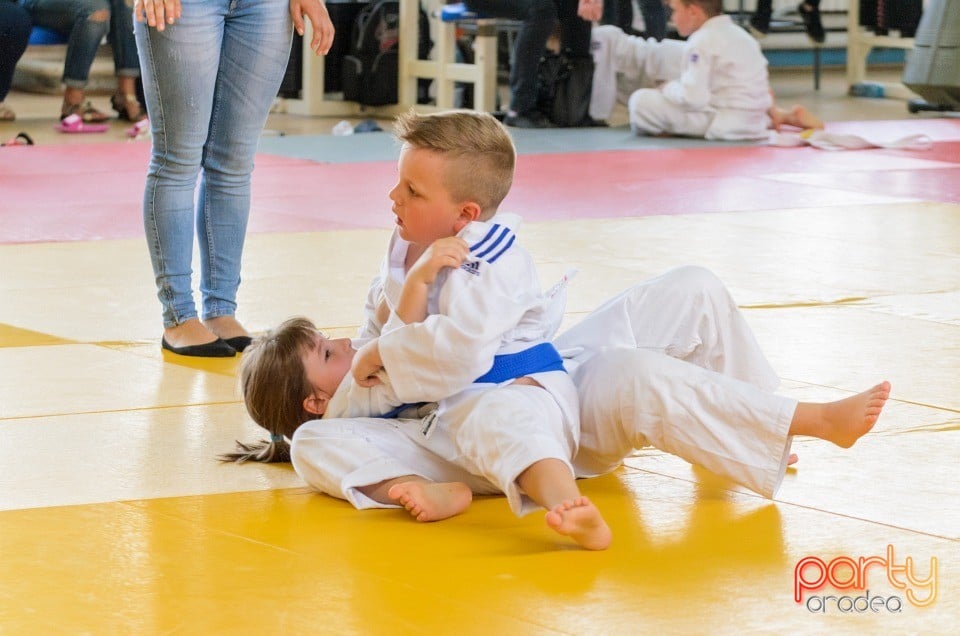 Micii judoka la Examen de Mon, Liceul cu Program Sportiv