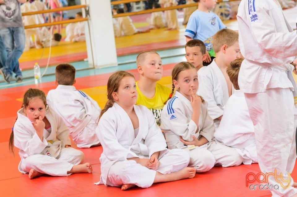 Micii judoka la Examen de Mon, Liceul cu Program Sportiv