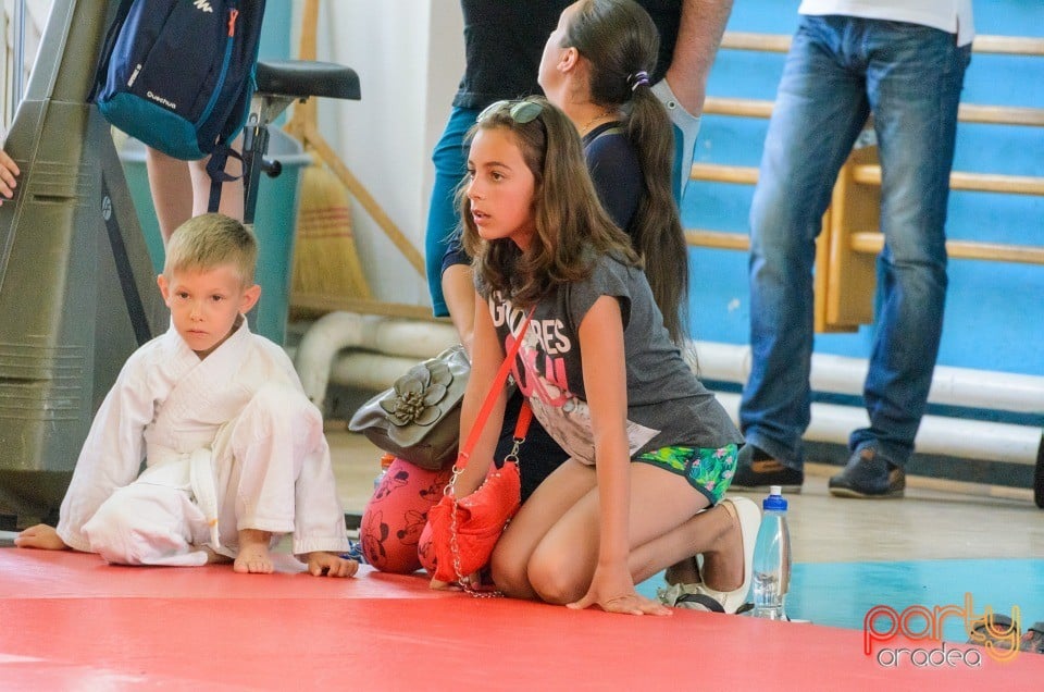 Micii judoka la Examen de Mon, Liceul cu Program Sportiv