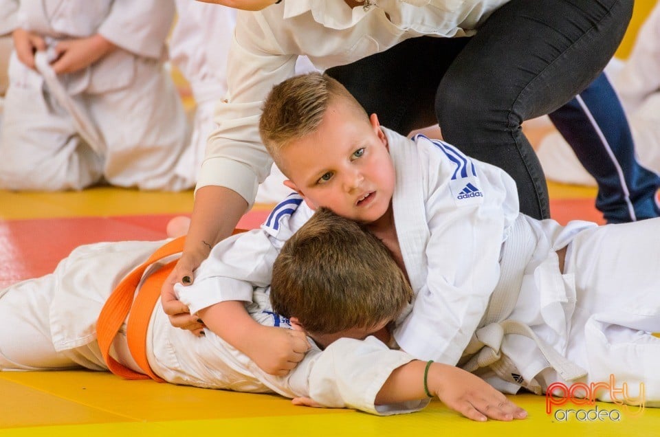 Micii judoka la Examen de Mon, Liceul cu Program Sportiv