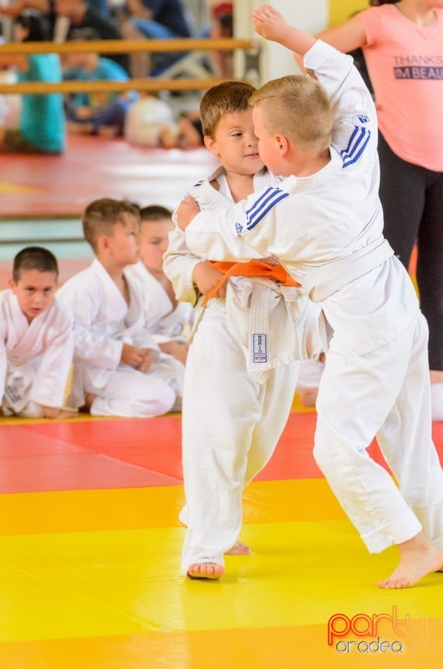 Micii judoka la Examen de Mon, Liceul cu Program Sportiv