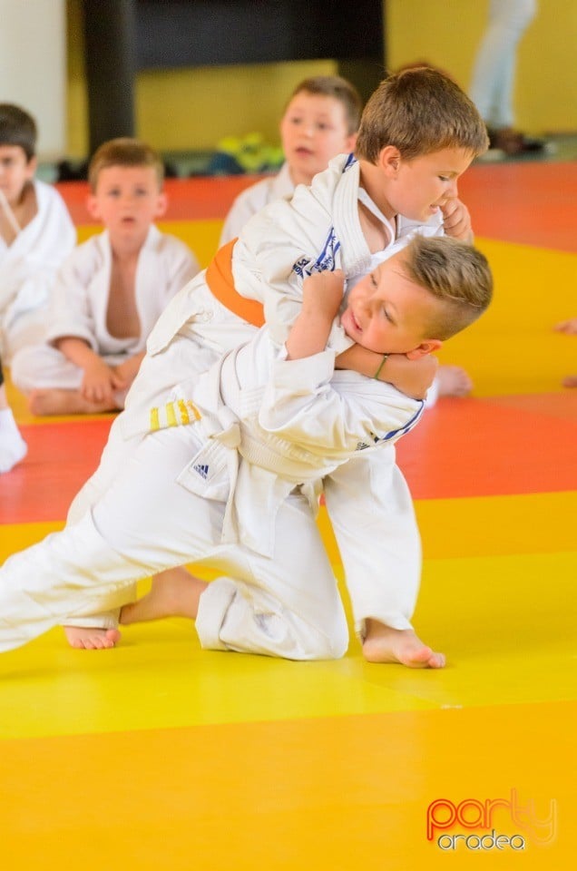 Micii judoka la Examen de Mon, Liceul cu Program Sportiv