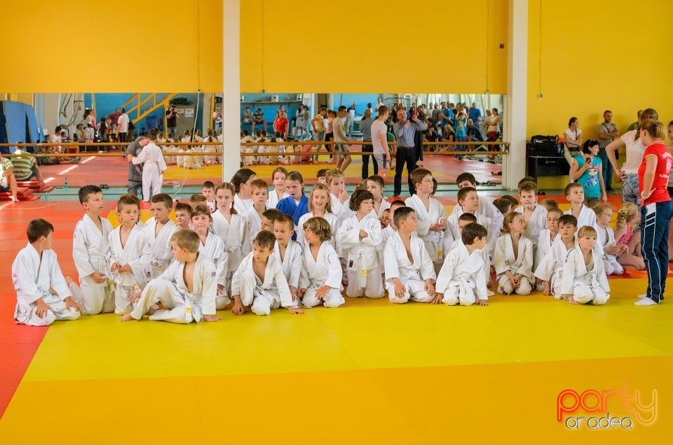 Micii judoka la Examen de Mon, Liceul cu Program Sportiv