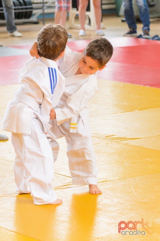 Micii judoka la Examen de Mon, Liceul cu Program Sportiv