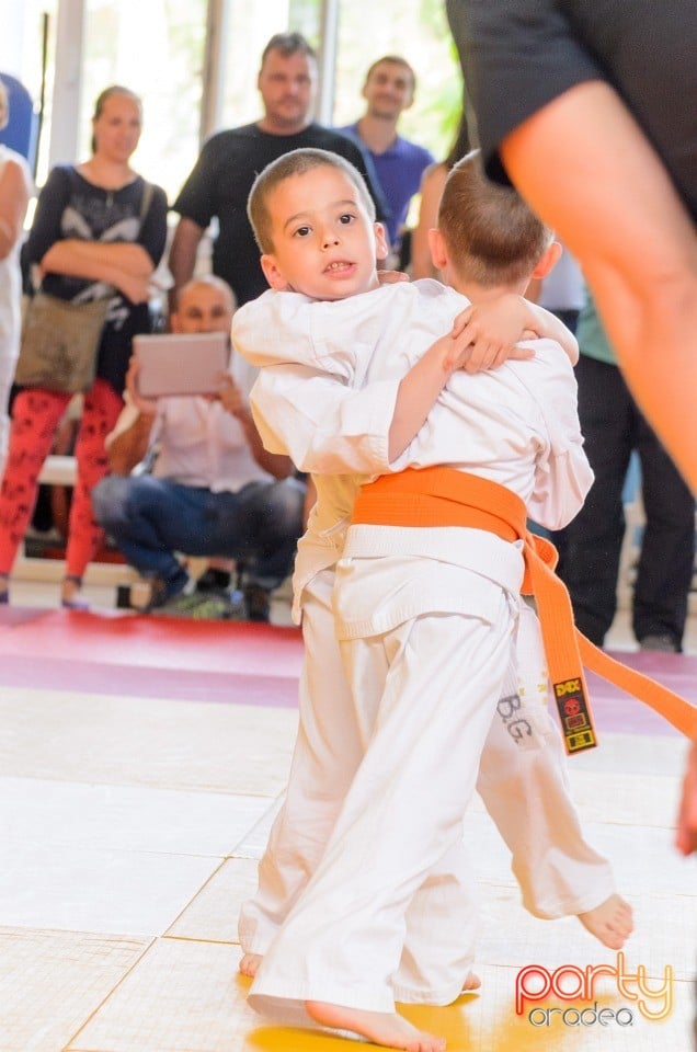 Micii judoka la Examen de Mon, Liceul cu Program Sportiv