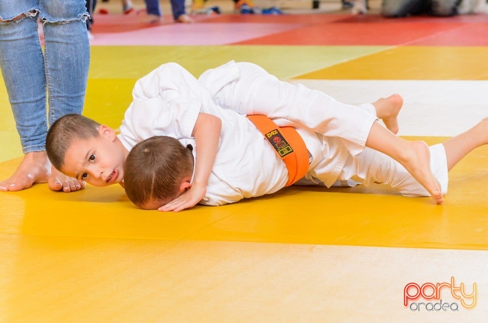 Micii judoka la Examen de Mon, Liceul cu Program Sportiv