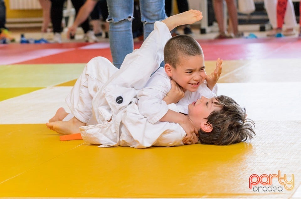 Micii judoka la Examen de Mon, Liceul cu Program Sportiv