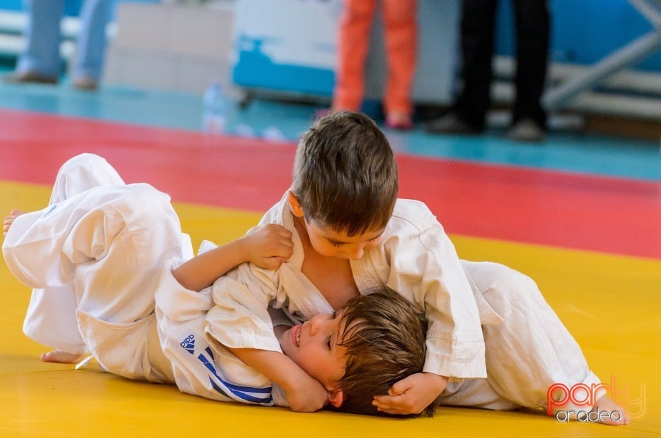 Micii judoka la Examen de Mon, Liceul cu Program Sportiv