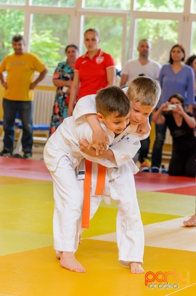 Micii judoka la Examen de Mon, Liceul cu Program Sportiv