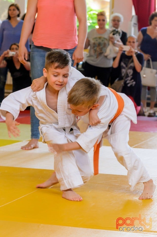 Micii judoka la Examen de Mon, Liceul cu Program Sportiv