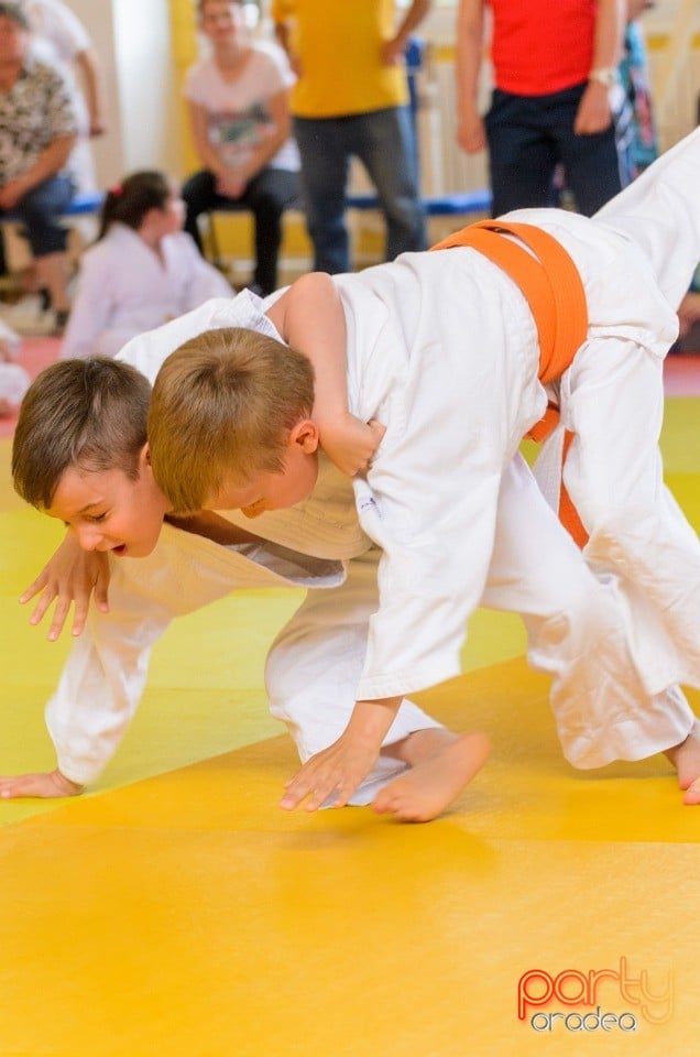 Micii judoka la Examen de Mon, Liceul cu Program Sportiv