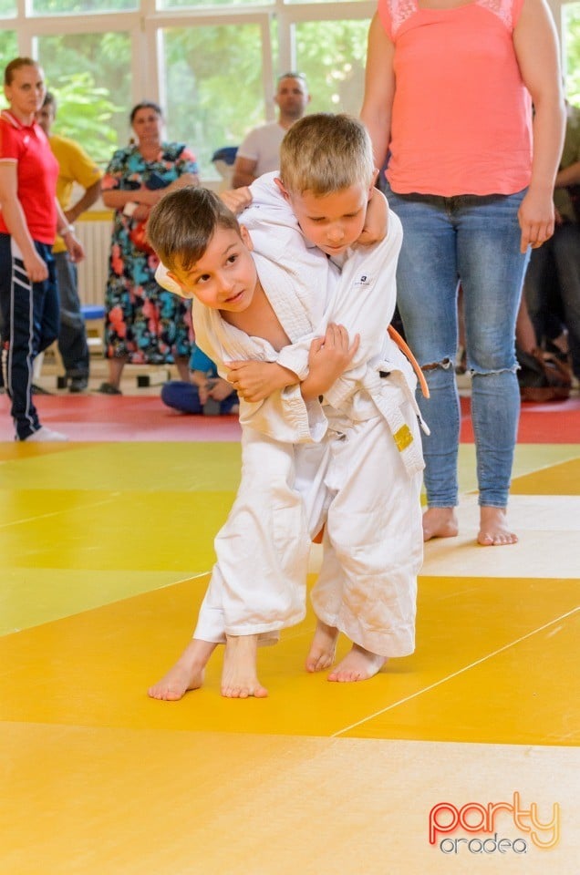 Micii judoka la Examen de Mon, Liceul cu Program Sportiv