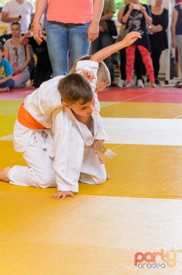 Micii judoka la Examen de Mon, Liceul cu Program Sportiv