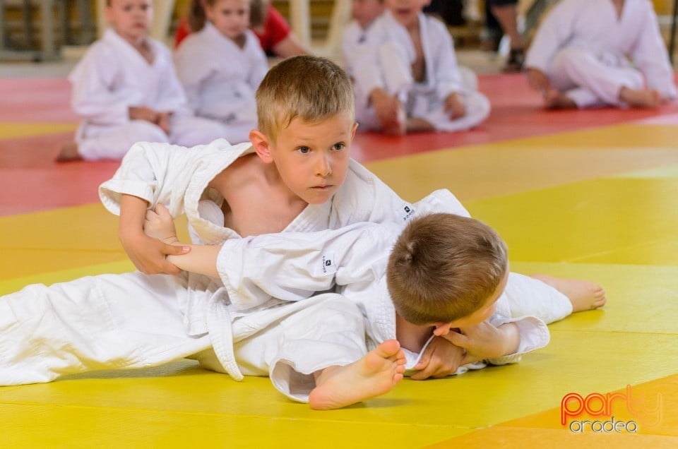 Micii judoka la Examen de Mon, Liceul cu Program Sportiv